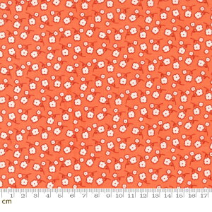 yModa _zZinnia-24134-17(2E-09) ԕ zCg IW Rbg100% V[`Oy10cmPʔ̔z