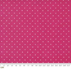 yModa _zZinnia-24106-60(2E-09)  p[v zCg Rbg100% V[`Oy10cmPʔ̔z