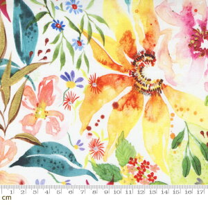 yModa _zEufloria-39742-11(2E-08) zCg CG[ Jt {^jJ ԕ ʕ Rbg100% V[`Oy10cmPʔ̔z