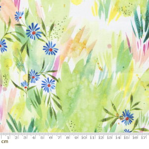 yModa _zEufloria-39743-11(2E-08) O[ A {^jJ ԕ ʕ Rbg100% V[`Oy10cmPʔ̔z