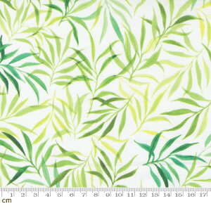 yModa _zEufloria-39745-13(2E-08) zCg O[ A ʕ Rbg100% V[`Oy10cmPʔ̔z