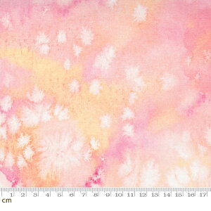 yModa _zEufloria-8433-21(2E-08) sN eNX` ʕ Rbg100% V[`Oy10cmPʔ̔z