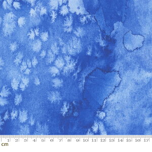 yModa _zEufloria-8433-64(2E-08) u[ eNX` ʕ Rbg100% V[`Oy10cmPʔ̔z