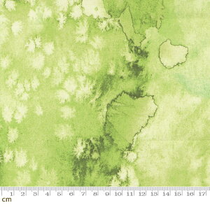 yModa _zEufloria-8433-67(2E-08) CG[O[ eNX` ʕ Rbg100% V[`Oy10cmPʔ̔z