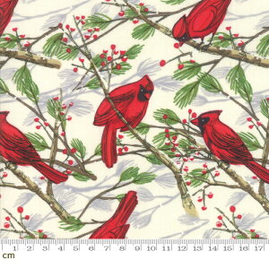 yModa _zSplendid(XvfBbh)-48651-11(2D-05) zCgn bhn F ԐF  NX}X J[fBi NX}X Rbg100% V[`Oy10cmPʔ̔z