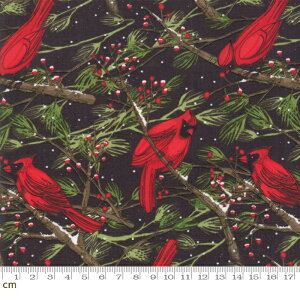 yModa _zSplendid(XvfBbh)-48651-18(2D-05) ubNn bhn F ԐF  NX}X J[fBi NX}X Rbg100% V[`Oy10cmPʔ̔z