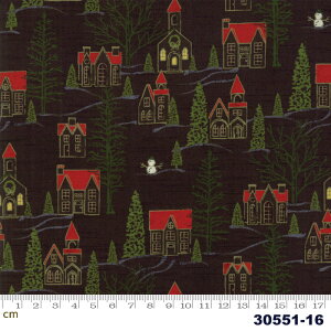 yModa _zWinter Village-30551-16(2D-01) ubNn bhF NX}X X Xmas Rbg100 V[`Oy10cmPʔ̔z