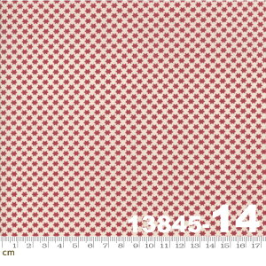 yModa _zFleur de Noel-13845-14(2D-01) bhn zCgn ԐF  L t`WFl NX}X Rbg100% V[`Oy10cmPʔ̔z