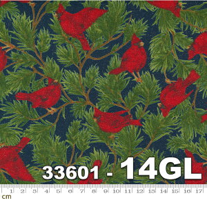 yModa _zSparkle and Shine Glitter-33601-14GL(^bNH)(Ob^[H(3A-02) NX}X O[n bhn u[n   lCr[ A  Rbg100 V[`Oy10cmPʔ̔