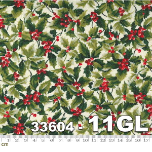 yModa _zSparkle and Shine Glitter-33604-11GL(3A-02) NX}X O[ bh zCg Vo[    A qCM Ob^[H ^bNH Rbg100 V[`O 110cm