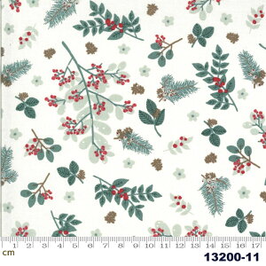 yModa _zJuniper-13200-11(2E-07) zCgn A ~ mX^WbN Rbg100% V[`Oy10cmPʔ̔z