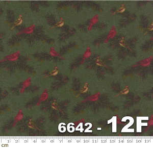 yModa _zCardinal Reflections Flannels-6642-12F(tl)(2C-05) bhn uEn O[n NX}X  A Rbg100%y10cmPʔ̔z