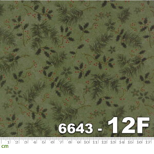 yModa _zCardinal Reflections Flannels-6643-12F(tl)(2C-05) uEn O[n NX}X A Rbg100%y10cmPʔ̔z
