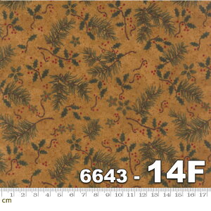 yModa _zCardinal Reflections Flannels-6643-14F(tl)(2C-05) uEn O[n NX}X A Rbg100%y10cmPʔ̔z
