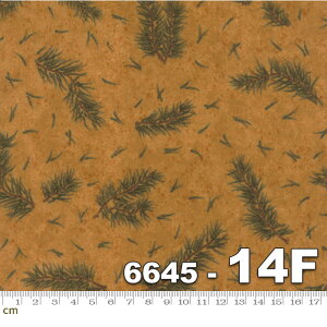 yModa _zCardinal Reflections Flannels-6645-14F(tl)(2C-05) x[Wn uEn O[n NX}X A Rbg100%y10cmPʔ̔z