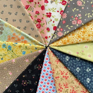 yԕz킢 ԕ JbgNX ܂5ZbgI(2F-13)