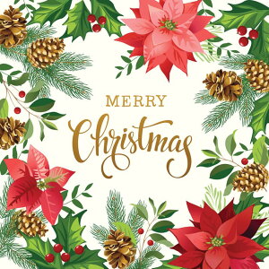 yModa _zGradients Holidaypl(1P 150×150cm)-33431-13P(2F-15) zCgn ubNn NX}X Christmas ԕ A |CZ`A Rbg100% V[`O