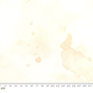 yModa _zRegent Street Lawns 2016-33176-30([n)(2C-03) zCgn x[Wn n eNX` Rbg100%y10cmPʔ̔z