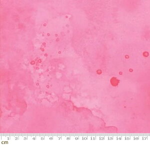 yModa _zRegent Street Lawns 2016-33176-32([n)(2C-03) sN n eNX` Rbg100%y10cmPʔ̔z