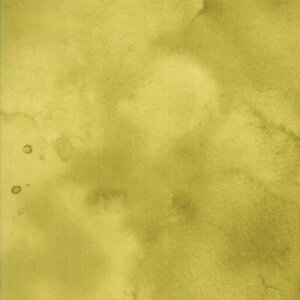 yModa _zRegent Street Lawns 2016-33176-37([n)(2C-03) CG[n n eNX` Rbg100%y10cmPʔ̔z