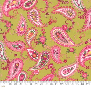 yModa _zRegent Street Lawns 2016-33191-15([n)(2C-03) CG[n sNn yCY[ ԕ t@V[ Rbg100%y10cmPʔ̔z