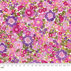 yModa _zRegent Street Lawns 2016-33192-12([n)(2C-03) zCgn sNn ԕ t@V[ Rbg100%y10cmPʔ̔z