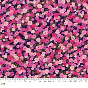 yModa _zRegent Street Lawns 2016-33195-20([n)(2C-03) lCr[n sNn ԕ t@V[ Rbg100%y10cmPʔ̔z