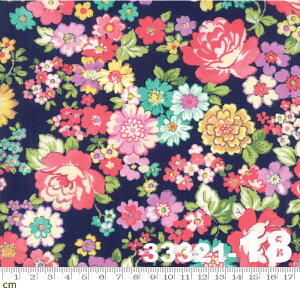 yModa _zRegent Street Lawns 2018-33321-18([n)(2C-03) lCr[n sNn ԕ t@V[ Rbg100%y10cmPʔ̔z