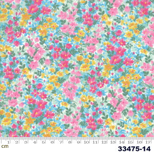 yModa _zRegent Street Lawns 2019-33475-14([n)(3B-02) XJCu[n sNn CG[n ԕ {^jJ t@V[ Rbg100%y10cmPʔ̔z