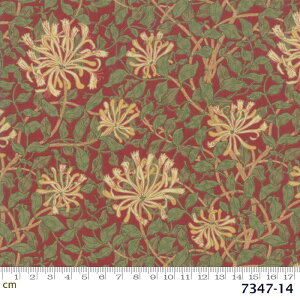 yModa _zMay Morris Studio-7347-14(2D-01)(2C-06) William Morris EBAX XCJY bhn O[n ԕ A Rbg100 V[`Oy10cmPʔ̔z