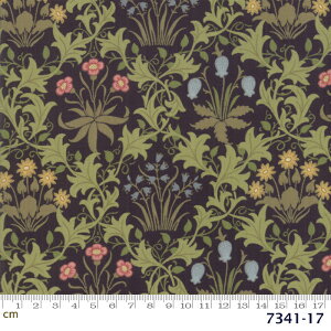 yModa _zMay Morris Studio-7341-17(2D-01) William Morris EBAX ubNn O[n F ԕ A Rbg100 V[`O y10cmPʔ̔z