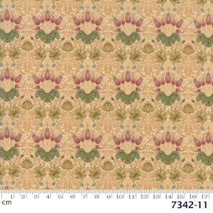 yModa _zMay Morris Studio-7342-11(2D-01)(2C-06) William Morris EBAX x[Wn ԕ A Rbg100 V[`O y10cmPʔ̔z