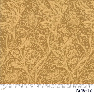 yModa _zMay Morris Studio-7346-13(2D-01) William Morris EBAX x[Wn ԕ 鑐͗l A Rbg100 V[`Oy10cmPʔ̔z