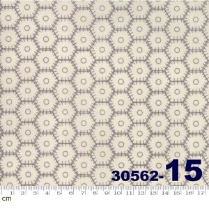 yModa _zMetropolis-30562-15(2D-02) x[Wn O[n 􉽊w _ Rbg100 V[`Oy10cmPʔ̔z