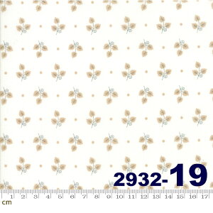 yModa _z101 Maple Street-2932-19(2C-02) zCgn x[Wn A Rbg100% V[`Oy10cmPʔ̔z