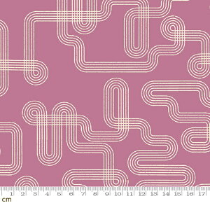 yModa _zLinear-RS1050-17(3B-02) zCgn p[vn 􉽊w |bv Rbg100% V[`O ruby star r[X^[y10cmPʔ̔z