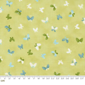 yModa _zJolie-33696-15(3B-02) CG[O[n u[n  t@V[ Rbg100 V[`Oy10cmPʔ̔z