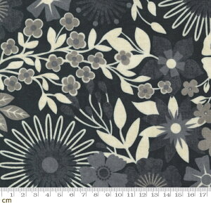 yModa _zDate Night-30710-16(3B-02) O[n ubNn VbN ԕ Rbg100 V[`Oy10cmPʔ̔z