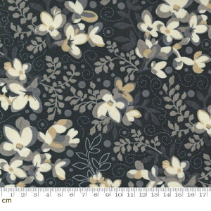 yModa _zDate Night-30711-14(3B-02) ubNn x[Wn N[n ԕ VbN Rbg100 V[`Oy10cmPʔ̔z