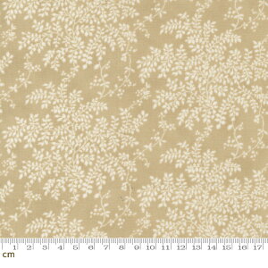 yModa _zDate Night-30713-16(3B-02) uEn x[Wn t [t A Rbg100 V[`Oy10cmPʔ̔z