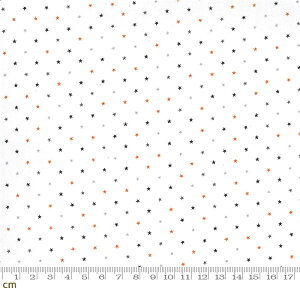 yModa _zTwinkle-24106-11(3A-02) zCg  |bv Rbg100% V[`Oy10cmPʔ̔z