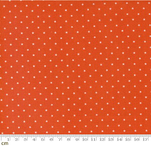 yModa _zTwinkle-24106-13(3A-02) IWn  Rbg100% V[`Oy10cmPʔ̔z