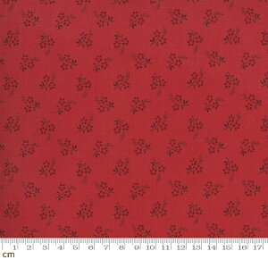 yModa _zJardin De Fleurs-13897-12(3A-01) ԕ bhn AeB[N Rbg100% V[`O French General t`WFl y10cmPʔ̔z