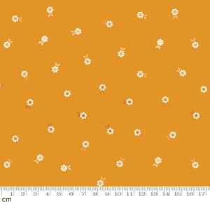 yModa _zCurio-RS0066-13M(^bNH)(3B-01) }X^[hCG[n S[h ԕ g|bv Rbg100% V[`O ruby star r[X^[y10cmPʔ̔z