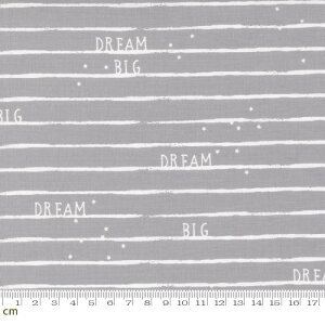 yModa _zD Is For Dream-25126-12(3A-01) O[n XgCv t@V[ LbY 킢 Rbg100 V[`O y10cmPʔ̔z