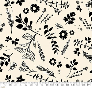 yModa _zAchroma-RS5098-11(3B-04) ItzCgn ԕ VbN _ Rbg100% V[`O ruby star r[X^[y10cmPʔ̔z