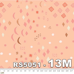 yModa _zFirst Light-RS5051-13m(^bNH)(3A-02) sNn L Rbg100% V[`O r[X^[y10cmPʔ̔z