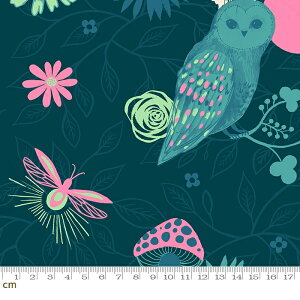 yModa _zFirefly-RS2066-12(2E-08) u[ lCr[ ԕ  tNE CXg r[X^[@Ruby Star Rbg100% V[`O y10cmPʔ̔z