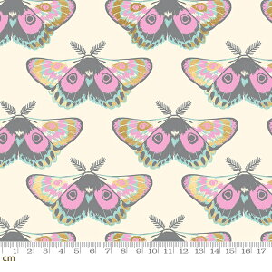 yModa _zFirefly-RS2067-11m(2E-08) u[ O[ sN CG[ S[h   X o^tC r[X^[ Ruby Star Rbg100% V[`O y10cmPʔ̔z