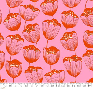 yModa _zFirefly-RS2070-12(2E-08) sN ԕ `[bv r[X^[ Ruby Star Rbg100% V[`O y10cmPʔ̔z